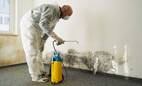 Mold Remediation for Rental Properties in Beechwood Trails, OH